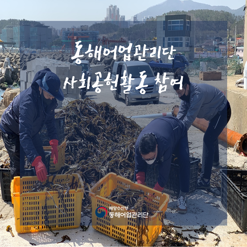 동해어업관리단 사회공헌활동 참여 해양수산부 동해어업관리단